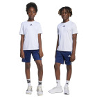 WHITE/DKBLUE